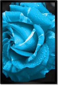 Poszter keretben 40x60 Türkiz rózsa Virág