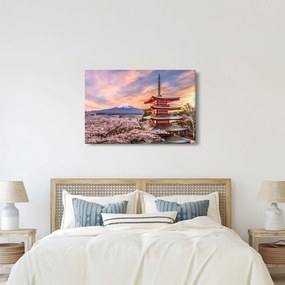 Kép - Fuji, Japán (90x60 cm)