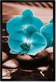 Poszter keretben 40x60 Türkiz orchidea