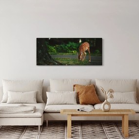 Gida képe (120x50 cm)