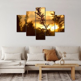 Kép - A nap lenyugszik a fák mögött (150x105 cm)