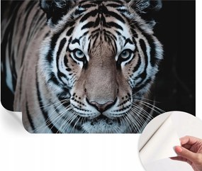 Öntapadós tapéta Divatos 3D fali ragasztó Tigris portré 152x104 cm