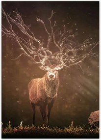 Poszterek 50x70 Szarvas felszarvazott