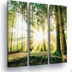 Vászonkép 90x100 Napsütötte erdő napsugarak erdei ösvény természet zöld