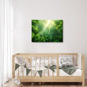 Üveg kép - Esőerdő (70x50 cm)