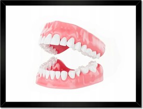 Poszterek keretben 40x30 Állkapocs a dolgozószobába Fogak