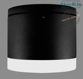 PALNAS 66001517 BRUNO Modern Kültéri Mennyezeti Lámpa LED IP54