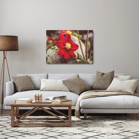 Virág képe (70x50 cm)