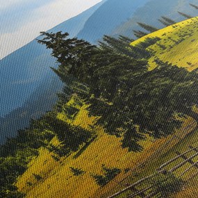 Kép - Hegyi rét (70x50 cm)
