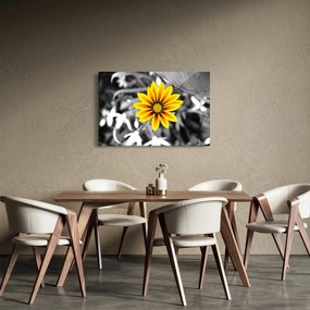 Sárga virágok képe (90x60 cm)