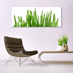 Üvegkép Grass A Wall 100x50 cm