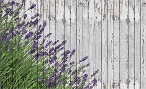 Fotótapéta virág deszka fotótapéta 254 x 184