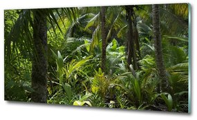 Egyedi üvegkép Trópusi erdő osh-65033935