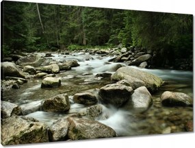 Vászonkép 90x60 Tátra Lengyel hegyek Kilátás