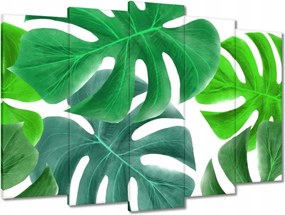 Vászonkép 70x50 Levelek Monstery Trópusok