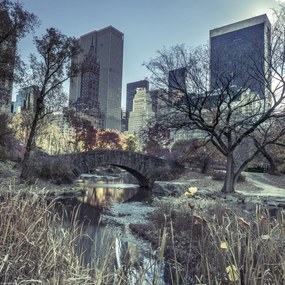 Poszter 30x30cm Kilátás a Central Park hídjára, Assaf Frank