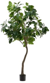 Fikusz műnövény (magasság 210 cm) Ficus – Kave Home