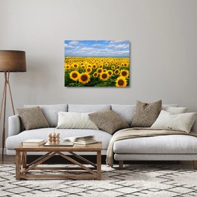 A napraforgó mező képe (üvegen) (70x50 cm)