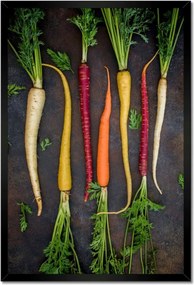 Poszterek keretben 40x60 Színes sárgarépa