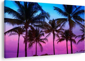 Kép - Pálmafák Miamiban (90x60 cm)