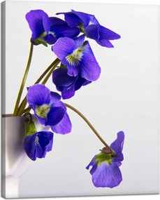 Botanika vászonkép Lila ibolyák 40x50