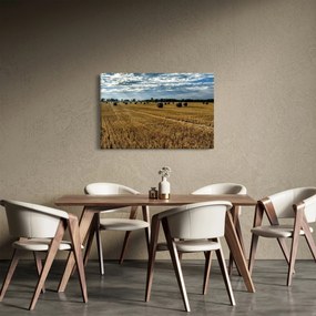 Betakarított gabona mező képe (90x60 cm)