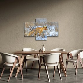 Kép - Róka (90x60 cm)