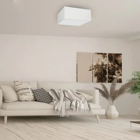 Mennyezeti lámpa ALBION 3xE27/60W/230V