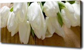 Vászonkép Fehér tulipánok 100x70 cm