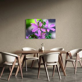 Részletes virágkép (90x60 cm)