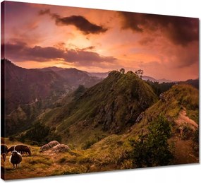Vászonkép 50x40 Tájkép bárányhegyekkel