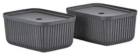 Fekete fedeles tárolódoboz szett 2 db-os 32x23x20,5 cm Pulp – Zone