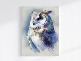 Vászonkép Canvas Akvarell Természet Portré Madár Bagoly Micimackó 60x80