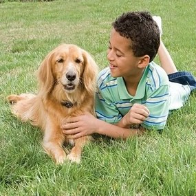 PetSafe® elektromos kutyakerítés