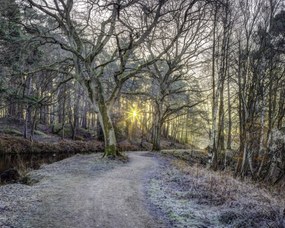 Poszter 50x40cm Vidéki csatorna fákkal és ösvényrel, Assaf Frank