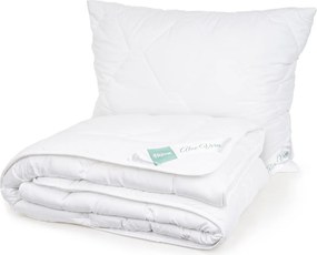 4Home Aloe Premium paplan és párnák szett, 140 x 220 cm, 70 x 90 cm