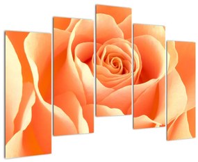 Kép - narancs, roses (125x90cm)