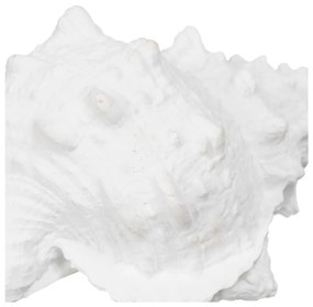 Poligyanta szobor (magasság 12 cm) Seashell – Ixia
