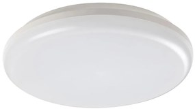Rabalux 7979 - LED Kültéri mennyezeti lámpa ERIC LED/24W/230V IP64