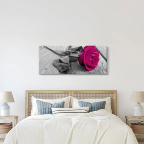 Kép - Rózsaszín rózsa (120x50 cm)