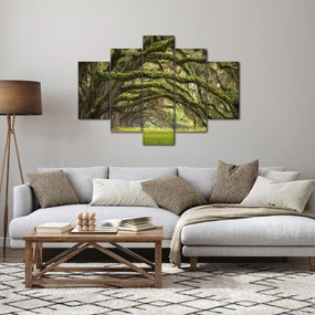 Kép - Oaks Avenue, Charleston, Dél-Karolina, Egyesült Államok (150x105 cm)