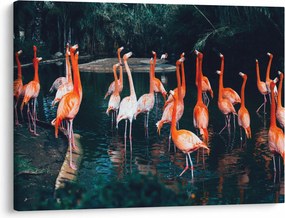 Flamingók csordája (70x50 cm)