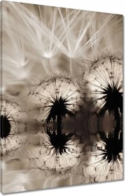 Vászonkép 60x80 Pitypangok szépia papírsárkányok