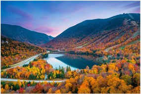 Kép - White Mountain, New Hampshire, USA (90x60 cm)