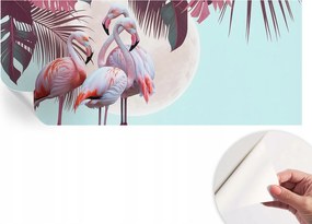 Dekoratív Öntapadós Tapéta Divatos Minták Egzotikus madarak 250x104 cm