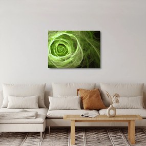 Üveg kép - Absztrakt rózsa zöld (70x50 cm)