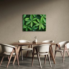 Kép - Levelek harmatcseppekkel (70x50 cm)