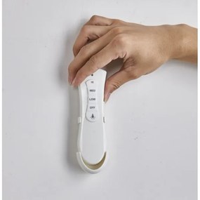 FANAWAY 212982- Mennyezeti ventilátor EVORA 2xE27/20W/230V króm + távirányítás