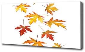 Vászonkép nyomtatás Őszi levelek oc-45893425
