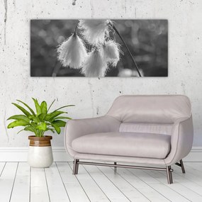 Kép - Cottongrass (120x50 cm)